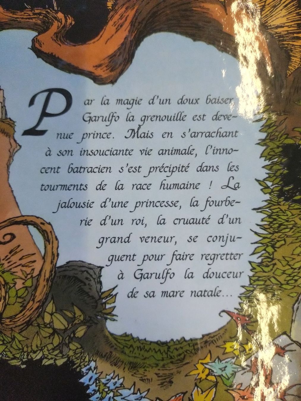 Fumetti: Garulfo Tome 2 " de mal en pis"  – Usato da Farvagny-le-Grand venduto da LaCaverne 2