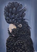 Vogel Schwarz-Rot Kakadu Acrylbild – Handgemalt