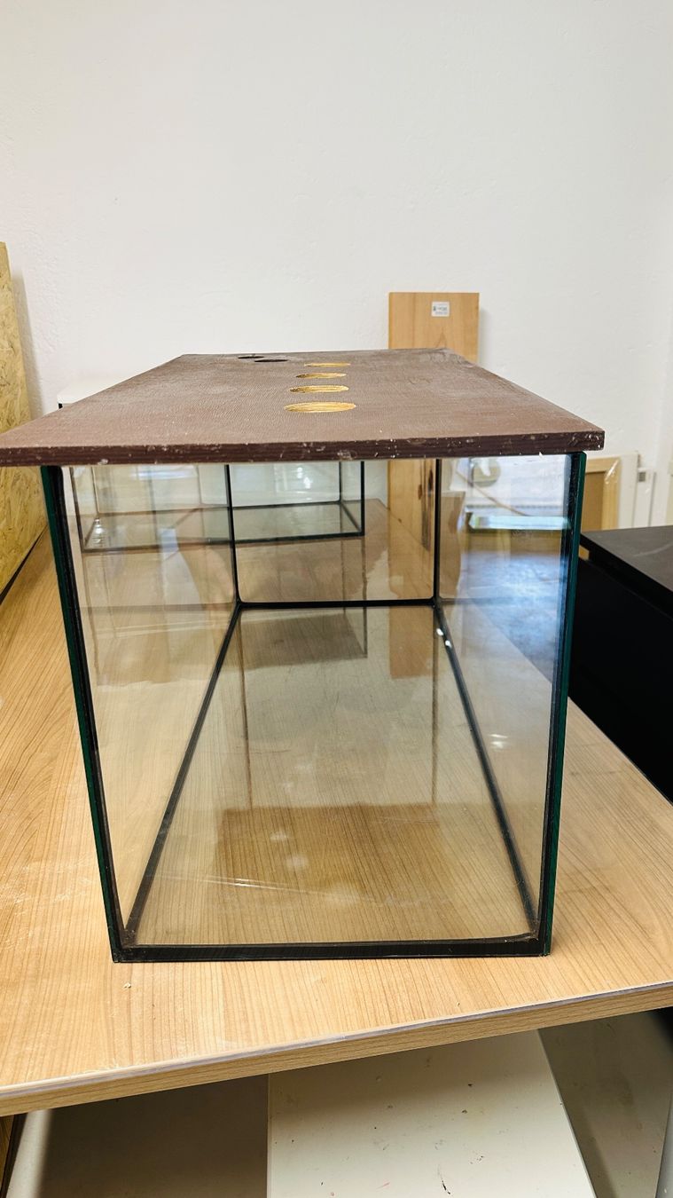 Terrario: Terrarium mit Holzabdeckung – Usato da Orpund venduto da Catangle 1