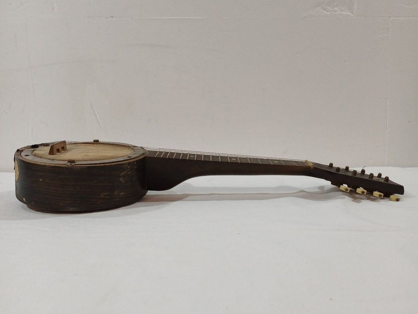 Strumenti musicali: Mandolinenbanjo – Usato da Luzern venduto da IG_Arbeit 3