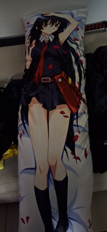Akame ga Kill Bodypillow (Neu (gemäss Beschreibung)) in Basel für CHF ...
