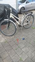 Damenfahrraf 28" California Presto