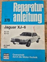 Reparturanleitung Bucheli