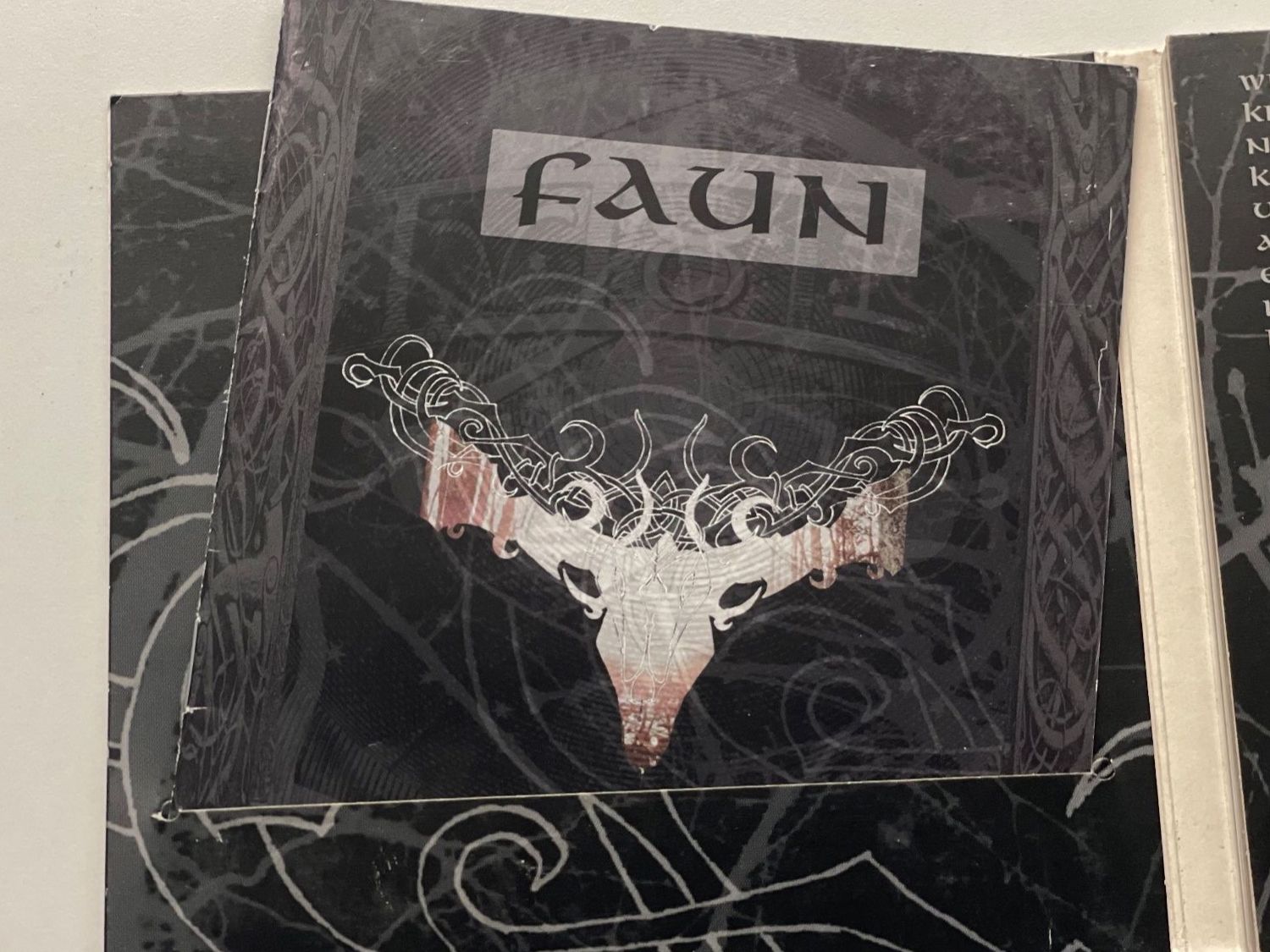 CD: FAUN - Licht - Folk Neoclassical - Top RAR – Usato da Muri b. Bern venduto da AdidasCollector 4