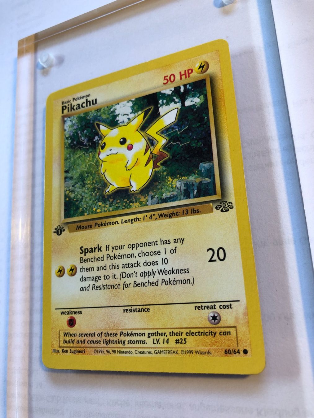Sammelbilder & Trading cards: Pikachu 1st Jungle - NM - ab 1.- – Gebraucht aus Giubiasco von dan_pr8b 2