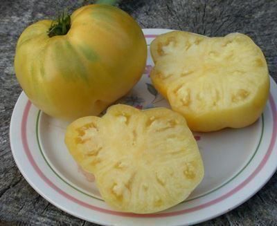 Piante & sementi: Tomate coeur de boeuf blanche  RARE  3g – Nuovo (secondo la descrizione) da Bremblens venduto da FIBONACCI369