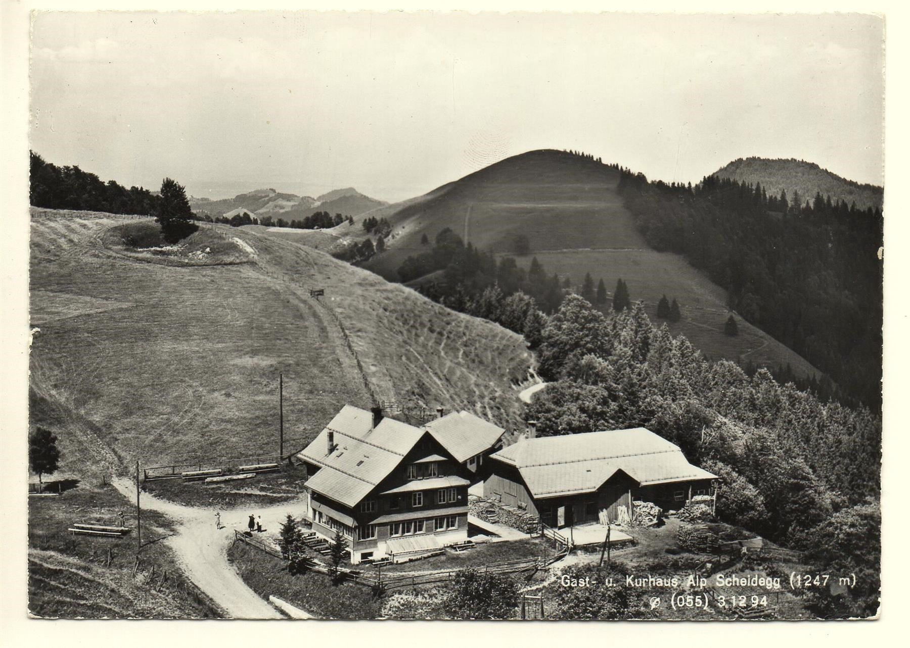 Cartoline postali: WALD Flugaufnahme Alp Scheidegg – Usato da Jona venduto da philajona