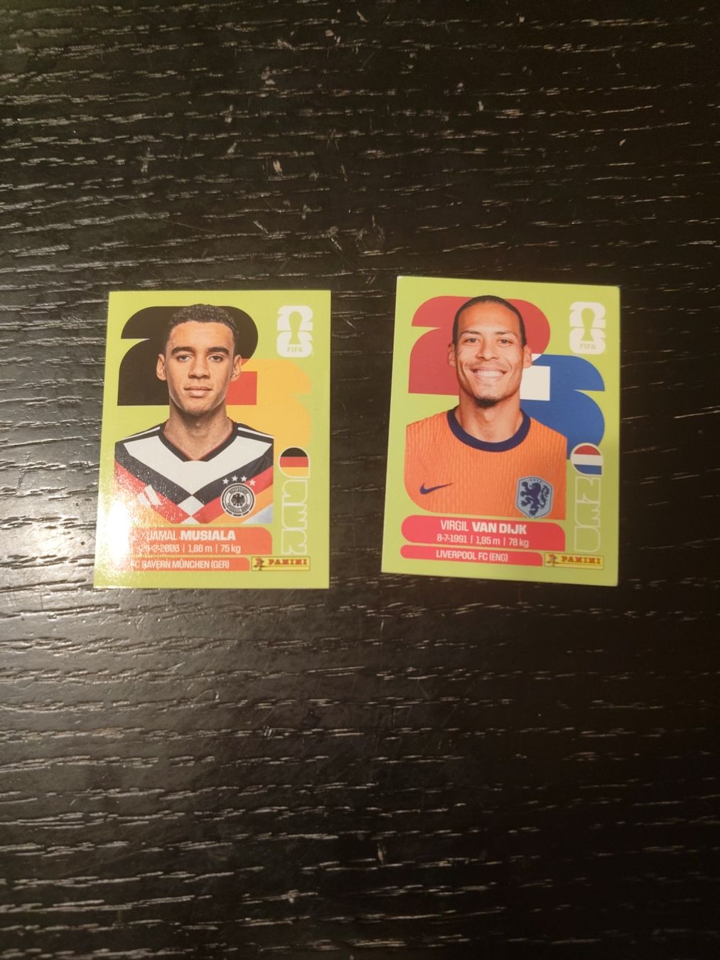Panini Carte collezionabili: panini – Nuovo (secondo la descrizione) da Tägerig venduto da mapiba