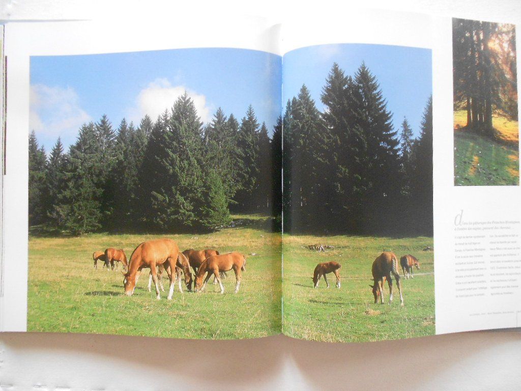 Libri: JURA  SANS FRONTIÈRES – Usato da Bex venduto da Giorgiob 6