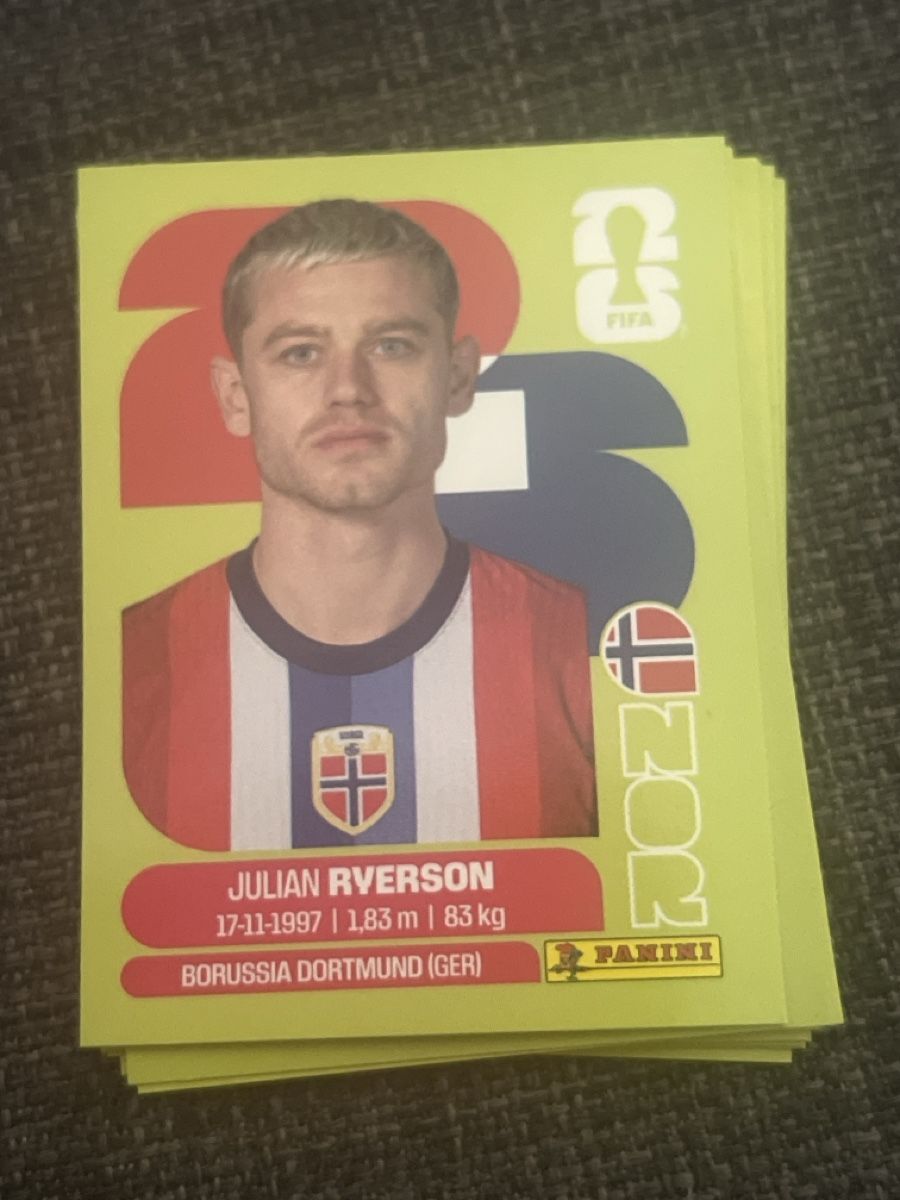 Panini Carte collezionabili: Panini Sticker Ryerson – Nuovo (secondo la descrizione) da Basel venduto da Dambiii