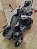 Swiss 4000 Elektro-Seniorenmobil – Top-Zustand