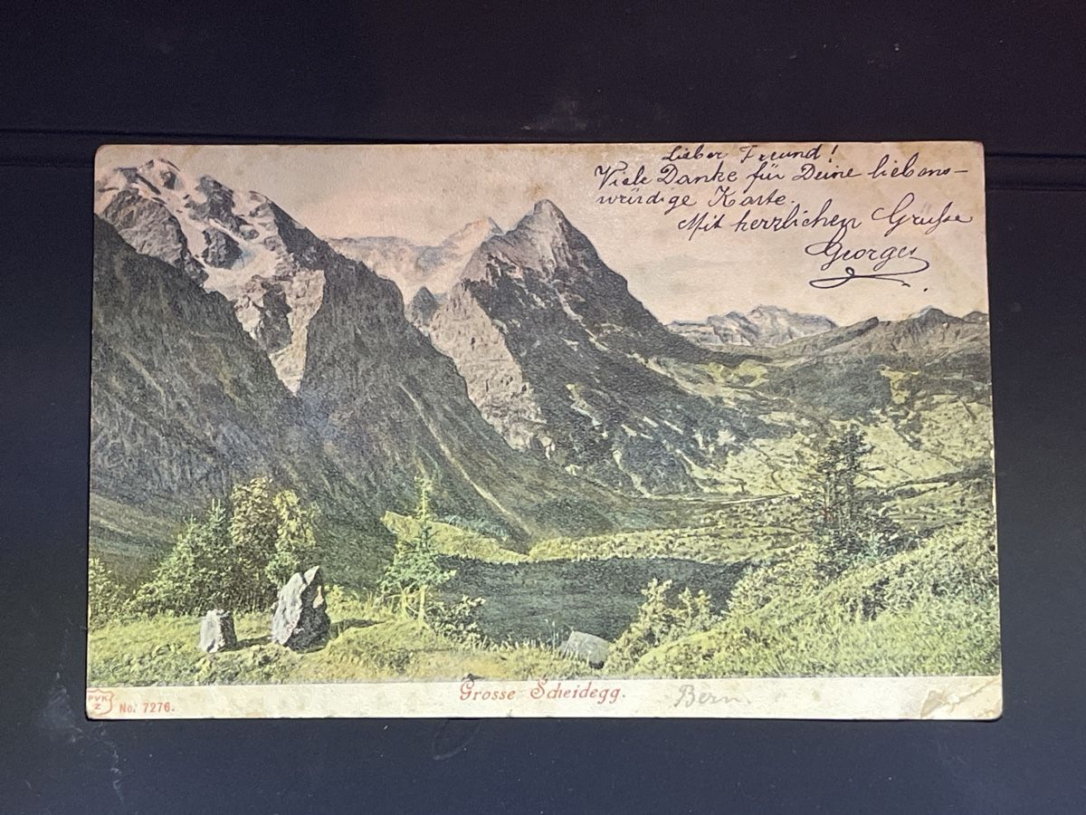 Cartoline postali: Alte Ansichtskarte, Grosse Scheidegg BE, – Usato da Strengelbach venduto da Aschatan5