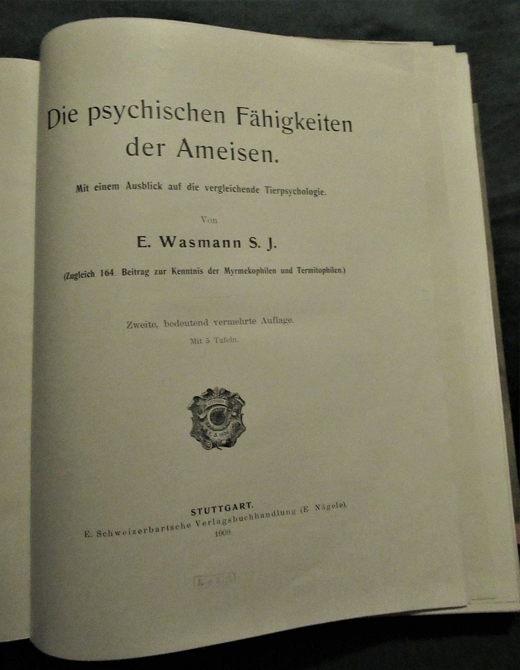 Libri: Ameisen Formicidae – Usato da hedingen venduto da kurattli01