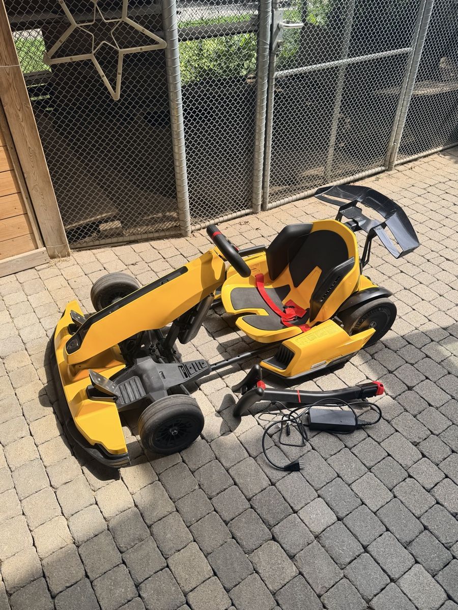 Voiturettes électriques: Lamborghini Ninebot Gokart – D'occasion à Untereggen par noe_v7cs 1