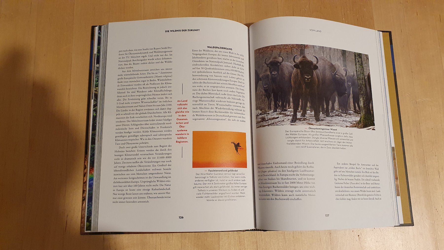 Libri: Buch - Die Widlnis der Zukunft – Nuovo (secondo la descrizione) da Worb venduto da Buespy 2