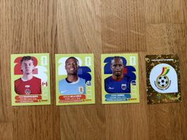 Panini Sticker