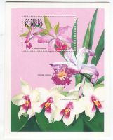 Block "Orchideen". Sambia.