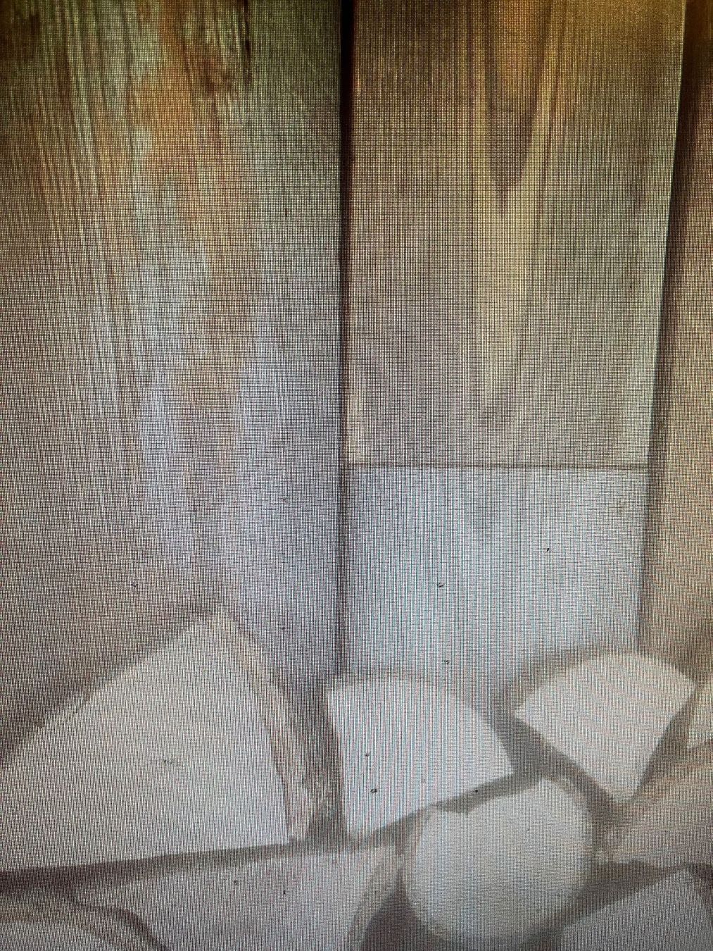 Articoli in legno: Altholzbretter – Usato da Schlatt TG venduto da bolero135 1