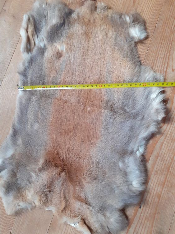 Kentucky Winterdecke, 1680D, 155 Cm – Veganes Kaninchenfell In Dunkelgrün, Wasserdicht