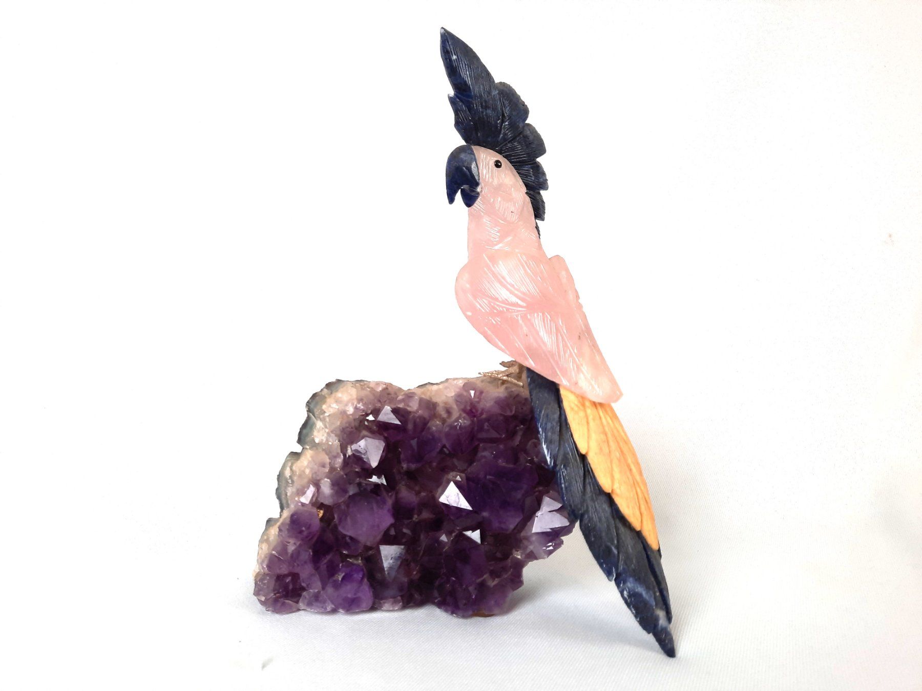 Minerali & Pietre curative: Kakadu auf Amethyst – Usato da Beinwil am See venduto da Restwert_Beinwil