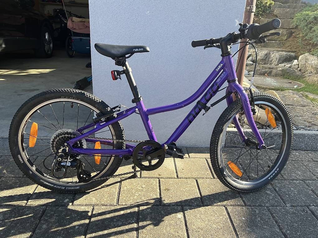 Vélos: Kindervelo Naloo Chamäleon 20" – D'occasion à Appenzell Steinegg par Coco2010 1