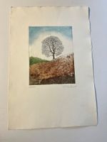 Lithographie Landschaft Signatur unleserlich 57/75