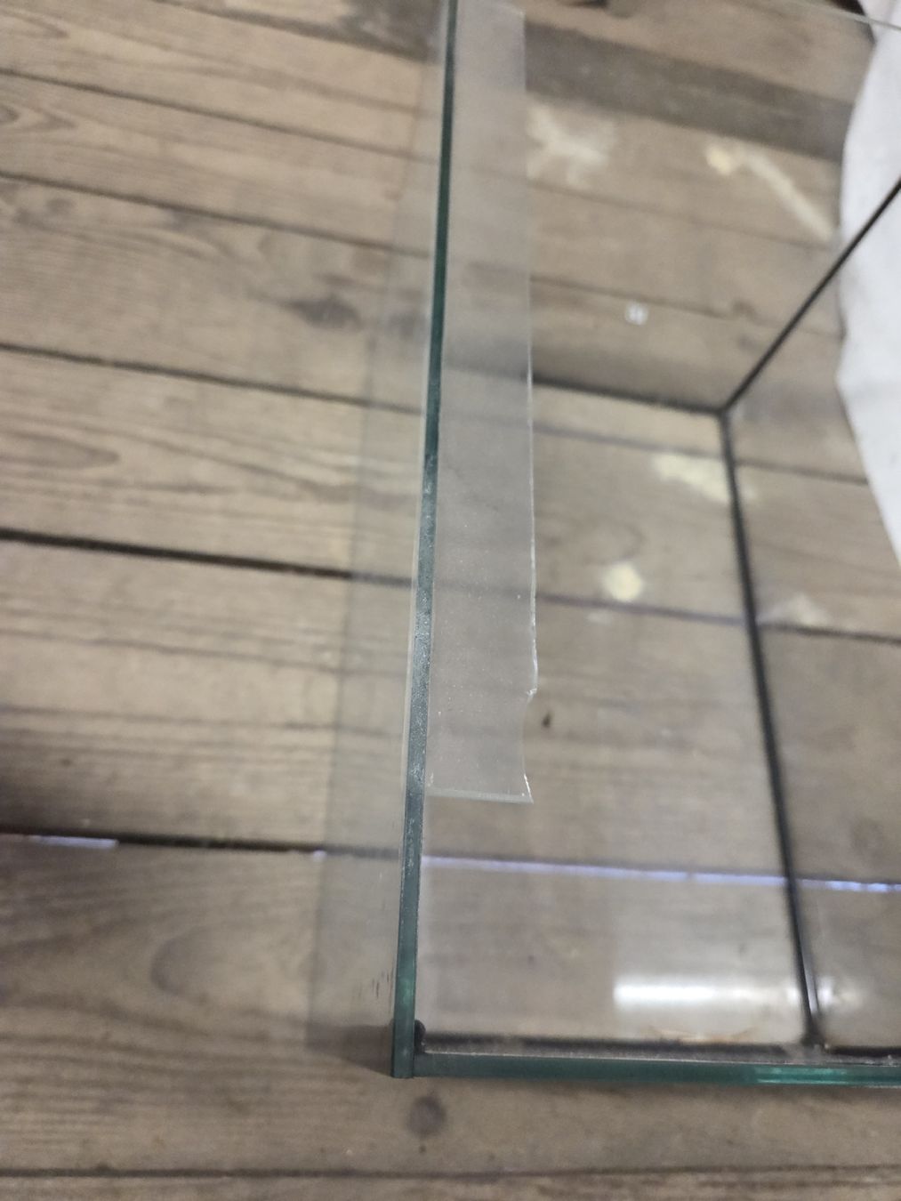 Terrariums: mini Terrarium – D'occasion à Wädenswil par weihpos 1