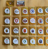 Ihre fehlenden Panini-Bilder für nur 40 Rappen das Stück!