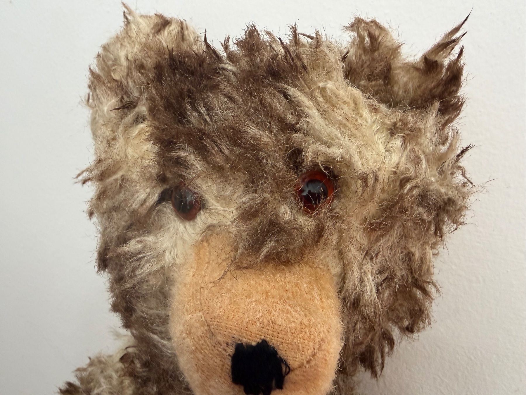 Jouets: Antiker Teddybär – D'occasion à Rümlang par sunschine_90 2