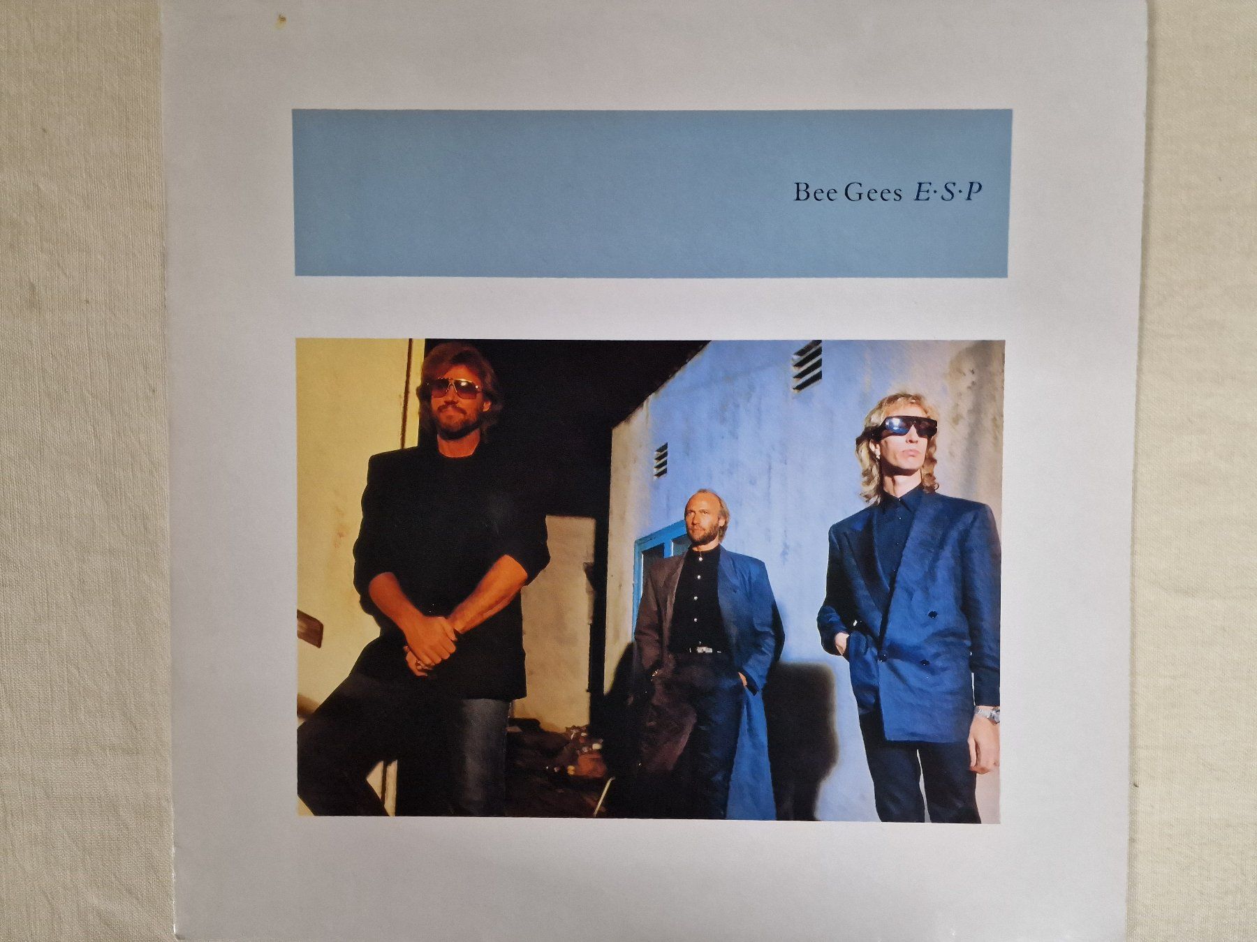Dischi in vinile: Bee Gees Maxi-Single – E·S·P – Usato da Root venduto da atelier22