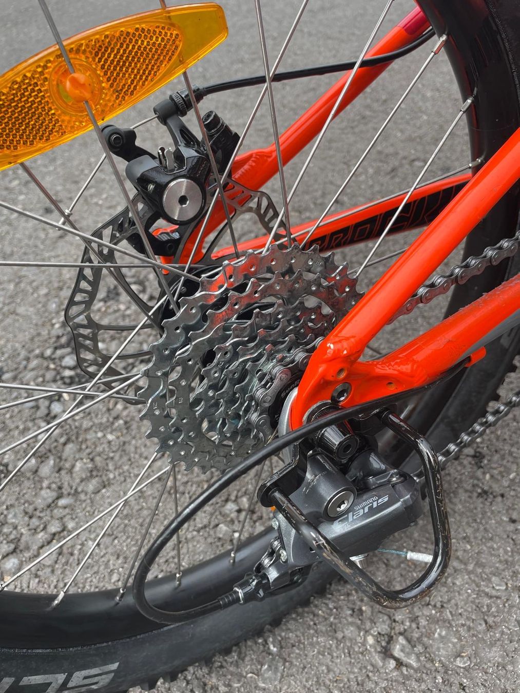 Specialized Velos: Specialized Kinder Mountainbike 20" mit Federgabel – Gebraucht aus Worb von Jovanni1967 2