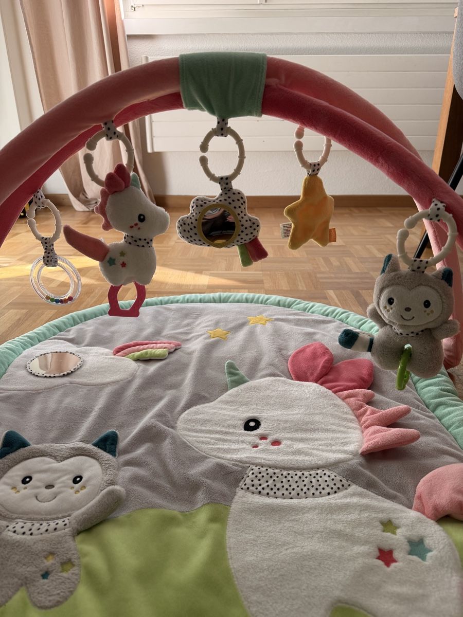 Tappeto da gioco: Fehn 3-D-Activity-Decke Aiko & Yuki – Usato da Greifensee venduto da ewu_6bn2 2
