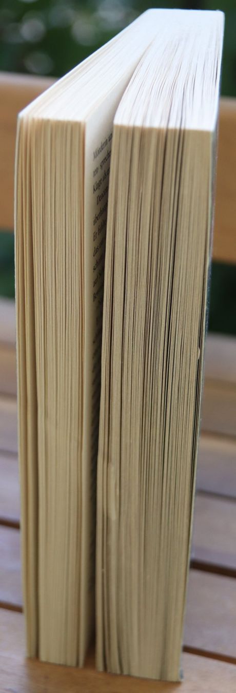Livres: Das Echo von Minette Walters – D'occasion à Glattfelden par Vrenely 3