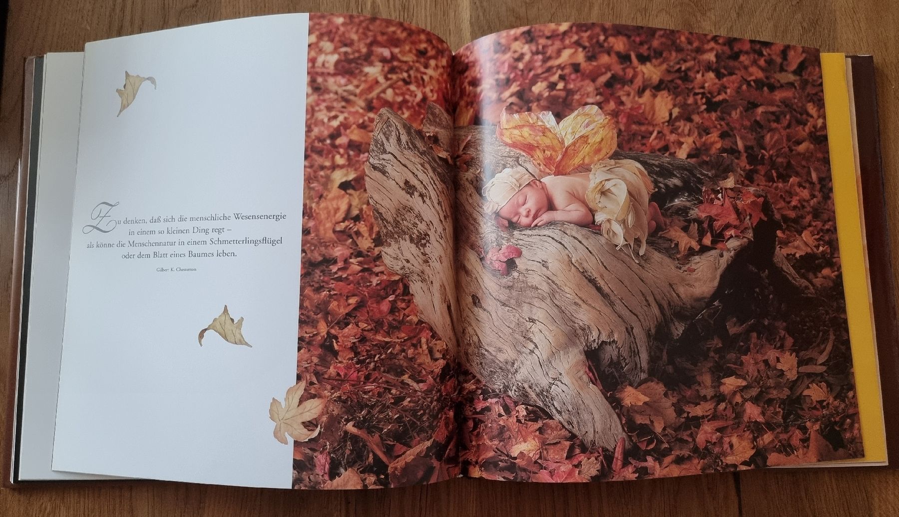 Bücher: Anne Geddes - Gedanken der Liebe – Neu (gemäss Beschreibung) aus Luzern von Luzern_Energy 3