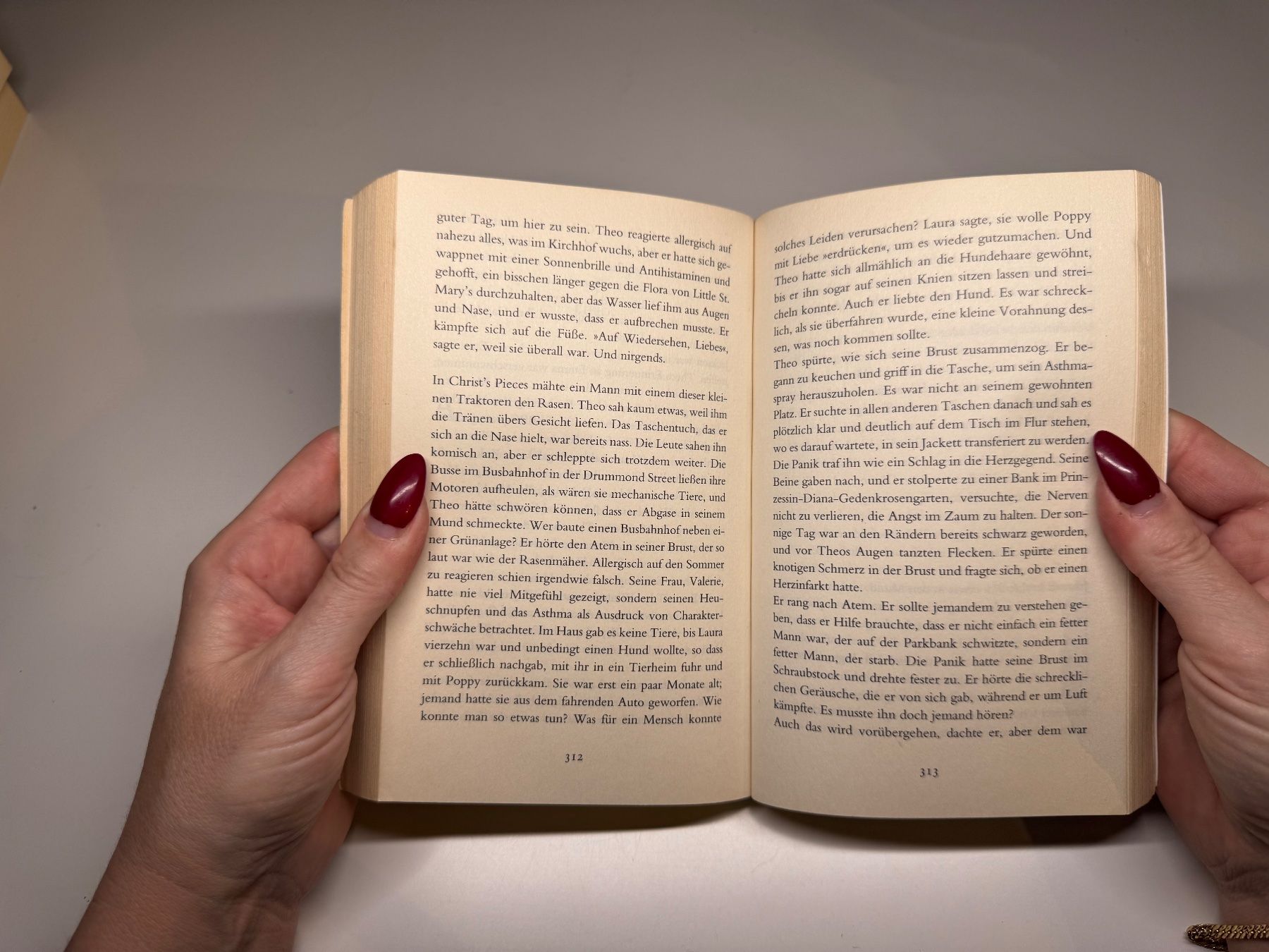 Libri: ROMAN: Kate Atkinson, Die vierte Schwester – Usato da Grosswangen venduto da Deutsche_Romane 7