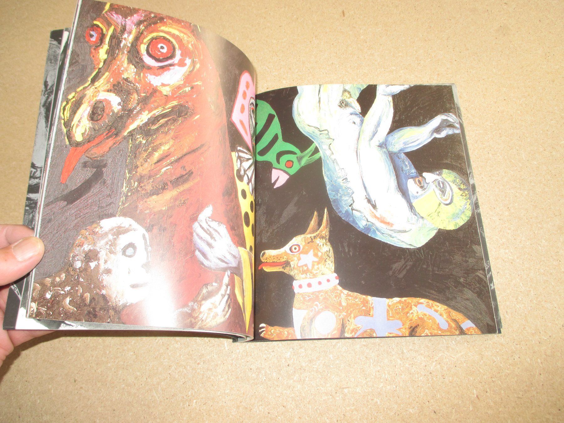 Livres: Nando Snozzi – D'occasion à Flims - Dorf par Stagediver 2