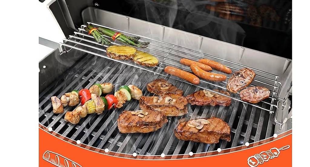 Griglie: Weber Gasgrill Q2000 – Usato da Jona venduto da Doonika 4
