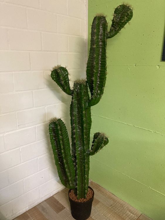 Kaktus künstlich  Kaufen auf Ricardo