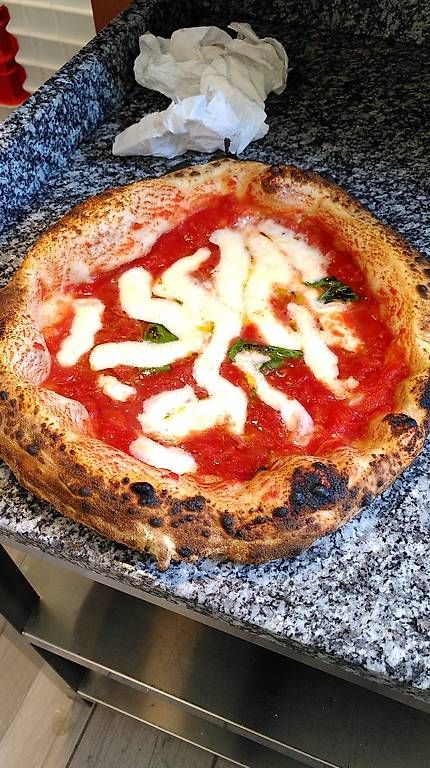 Pizzaofen: Lehm Pizzaofen – Gebraucht aus Buchs SG von serscho 2