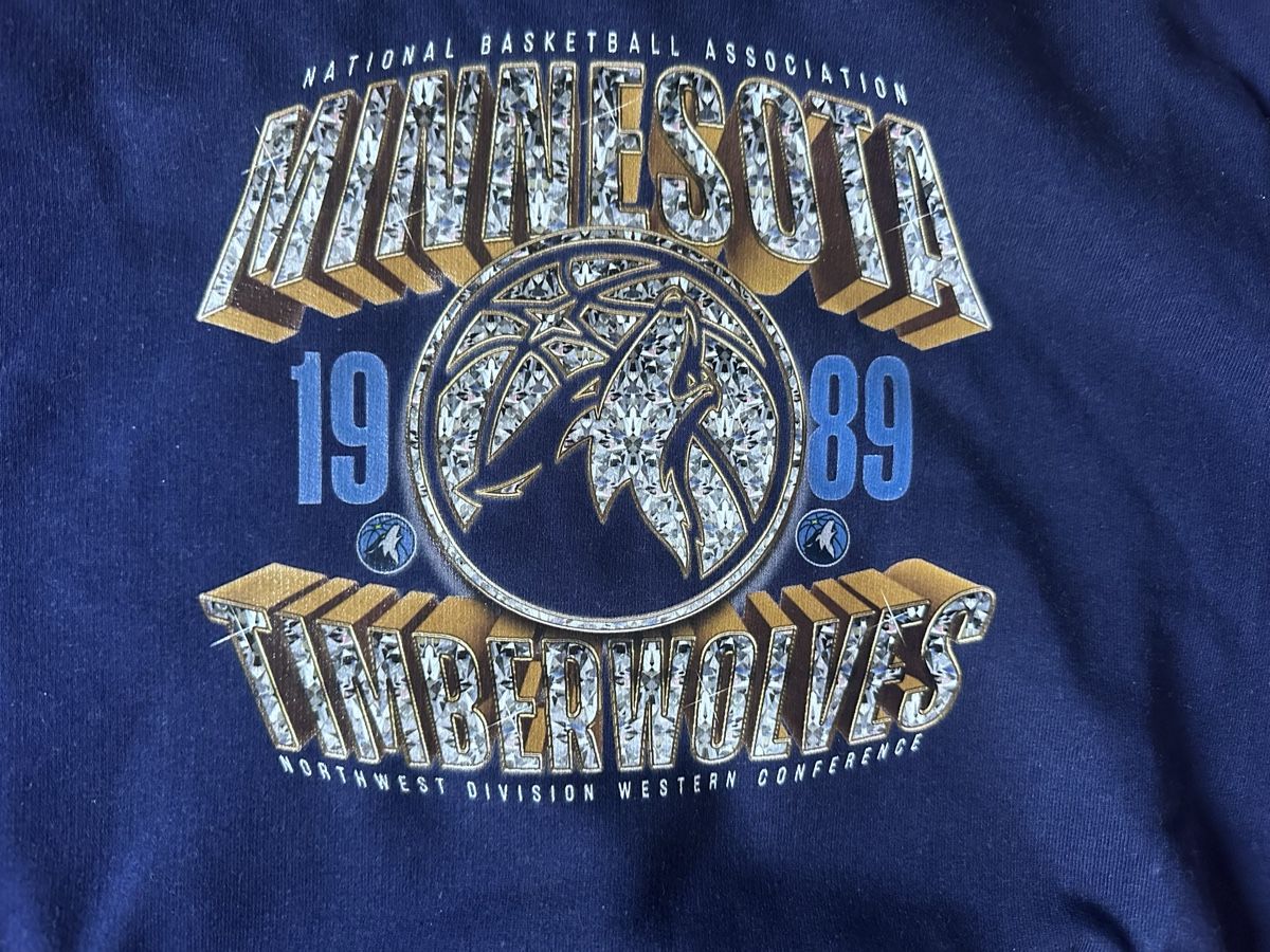 Maglioni & Felpe: NBA Minnesota Timberwolves Kapuzenpullover blau NEU – Nuovo e nell'imballaggio originale da Uetikon am See venduto da mar_8vmp 1