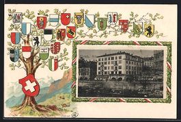 Präge-AK Zürich, Schwanencolonie im Wa