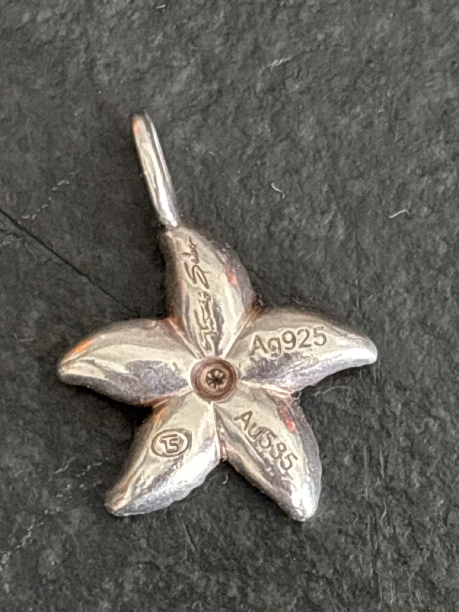 Thomas Sabo Ciondoli: Thomas Sabo Seastar Anhänger – Nuovo (secondo la descrizione) da Pratteln venduto da sab_whk9 1