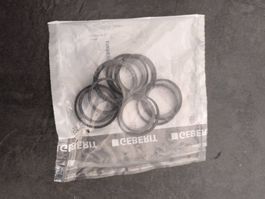 Geberit Sifon Dichtungssatz