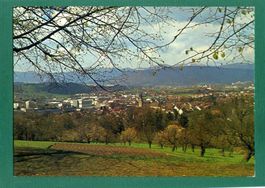 Zofingen, vom Heiternplatz, Vorfrühling, ungelaufen
