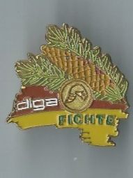 Placchette & Badge: "diga Fichte" Pin – Usato da Zürich venduto da t24_de