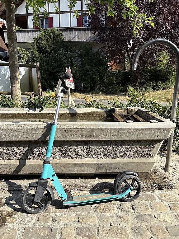 Kickboard: Micro Scooter Cruiser – Gebraucht aus Oberwangen b Bern von graeubjones