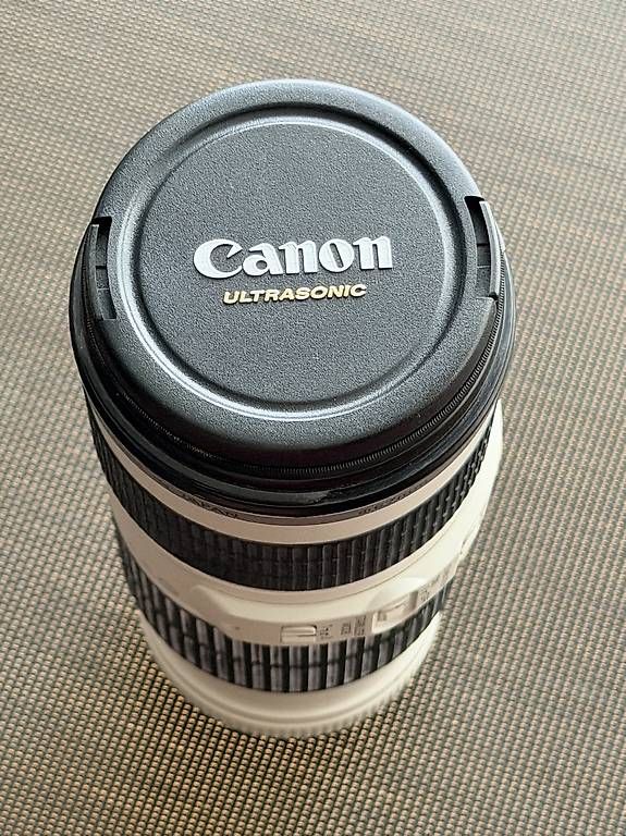 Canon Obiettivi: Canon EF 70-200mm 4.0 L IS USM – Usato da Horgen venduto da roligraf 2