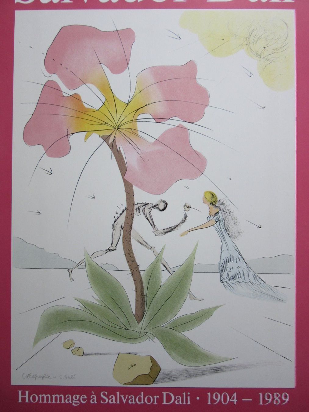 Foto & Immagini: SALVADOR DALI  PLAKAT – Usato da Gersau venduto da grafik-kunst 1
