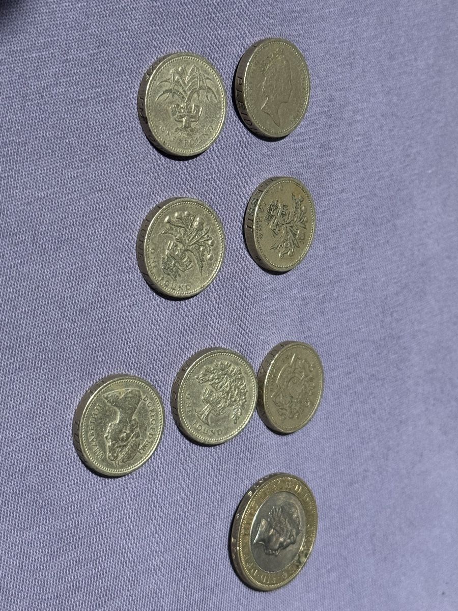 Tutti le monete: Pound Münzen – Usato da Hochdorf venduto da fla_hl9g