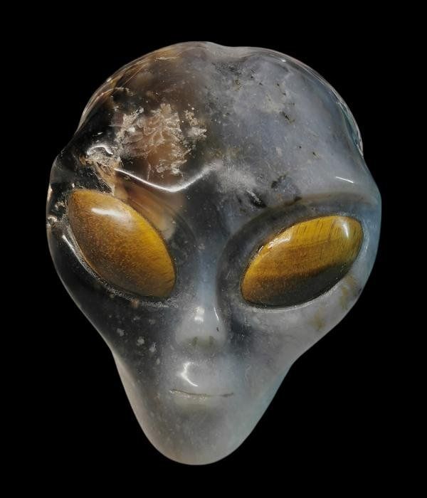Mineralien & Heilsteine: Alien Skull Black Agate – Neu (gemäss Beschreibung) aus Walenstadt von vkt_qc8d 2